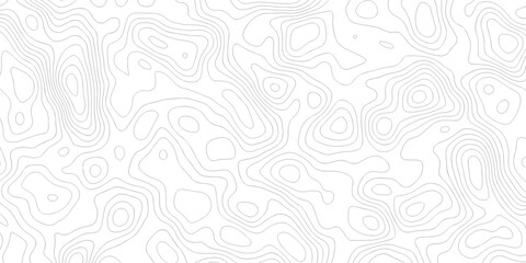 Abstract grid landscape topography white background. white and black relief line wireframe isoline location diagram world map texture design.   © MOHAMMAD