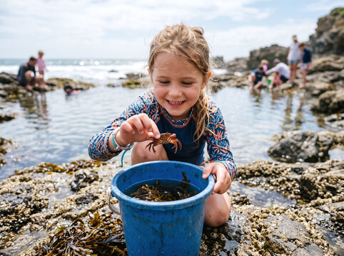 Happy little girl holding a small crab over a bucket while exploring rock pools