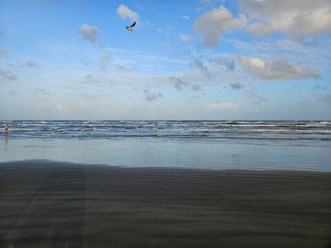 Serene coastal landscape with calm beach, rolling waves, and a bird flying against a partly cloudy blue sky.