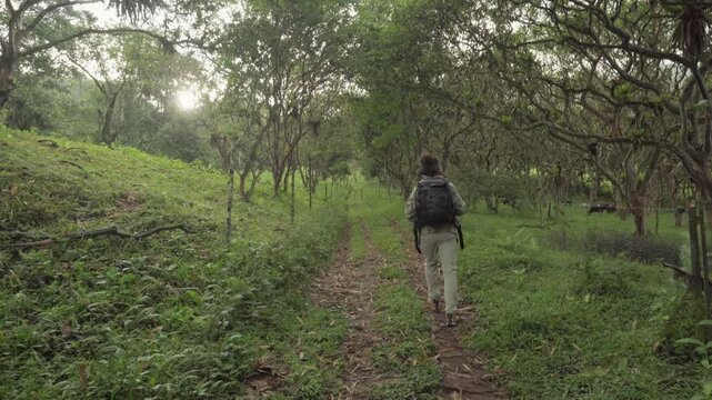 Backpacker man walking alone on a lush trail through a south american nature reserve