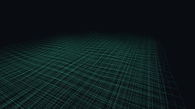 Evolving digital data matrix and morphing network structure