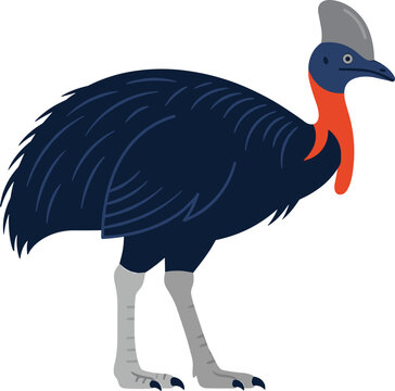 Southern cassowary flat vector cartoon illustration showing flightless australian rainforest bird profile with horn casque