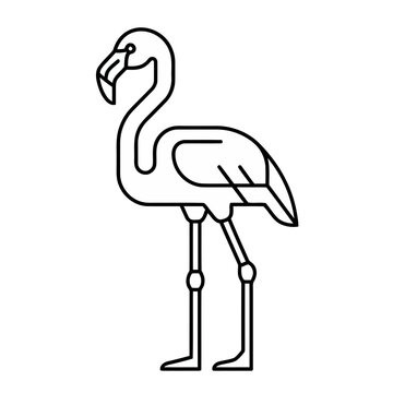 Flamingo outline vector illustration