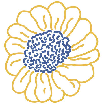 Flower illustration floral line art hand drawn marigold blossom design element
