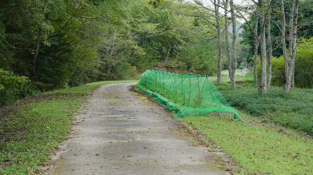 遊歩道沿いに植生保護のネットが設置されている様子