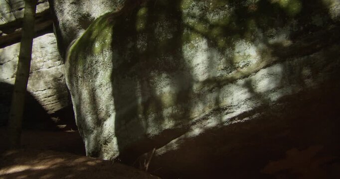 Natural sunlight and shadows dance across ancient sandstone rock formations in the Czech Republic forest. Perfect for themes of sustainability, nature travel, and authentic outdoor adventure.