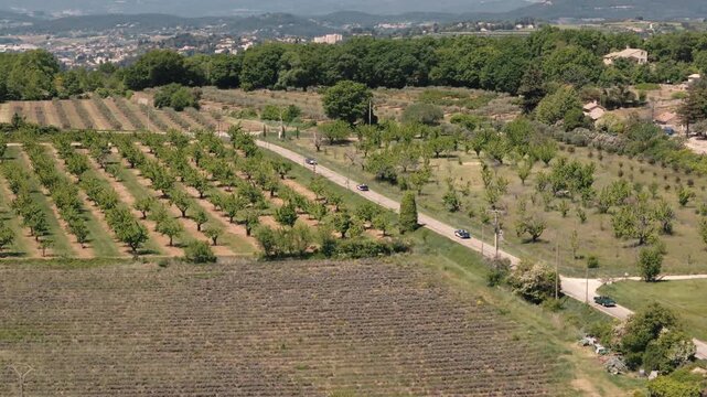 Classic cars race past olive groves and sweeping Provence views