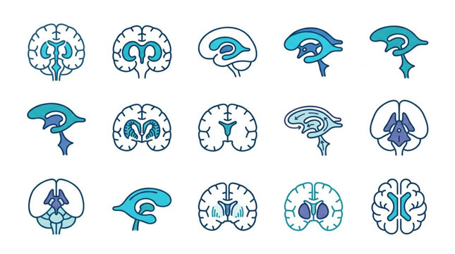 Colorful Brain Illustrations in Various Views and Styles.