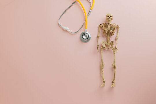 Yellow stethoscope and skeleton anatomical model on pink symbolize Doctor Day.