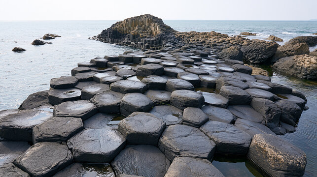 Basalt Causeway Landscape Featuring Interlocking Coastal Columns