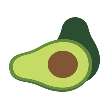Fresh green avocado fruit half with brown seed icon illustration Vector
