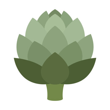 Fresh green artichoke vegetable icon illustration in a simple flat vector graphic style Vector