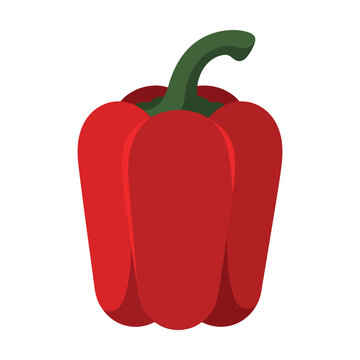 Fresh red bell pepper vegetable icon illustration Vector