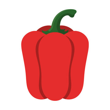 Fresh red bell pepper vegetable icon with green stem in a simple flat vector graphic style Vector