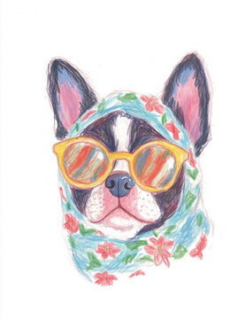 Boston terrier dog wearing a green and white floral headscarf.and a yellow oval sunglasses