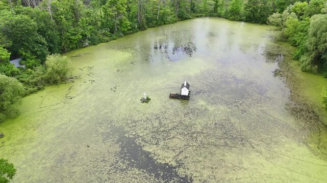 The Center of a Swamp C