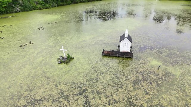 The Center of a Swamp A