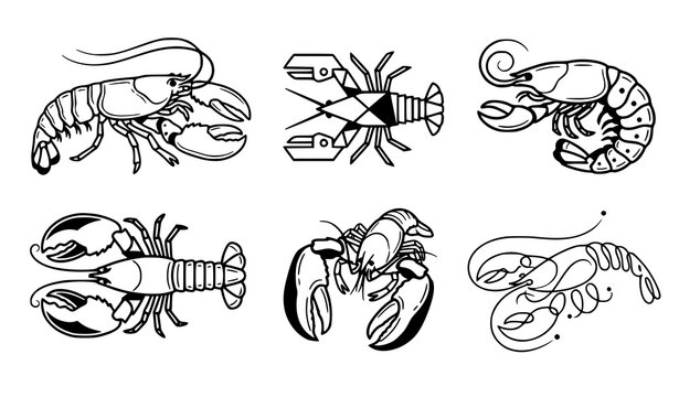 Minimal lobster outline vector set featuring crustacean seafood marine animal illustrations for nautical restaurant and coastal menu designs