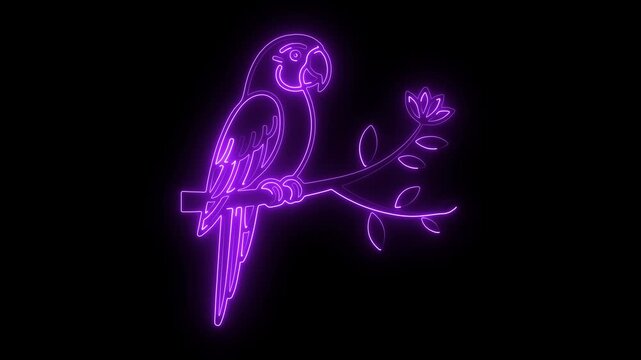 Purple neon parrot silhouette perched on a branch with leaves against black bird glowing 4k video.