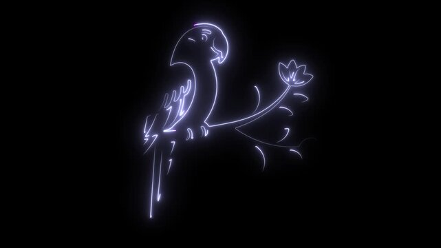 Neon parrot in purple and green perched on a branch with leaves on black bird 4k video.
