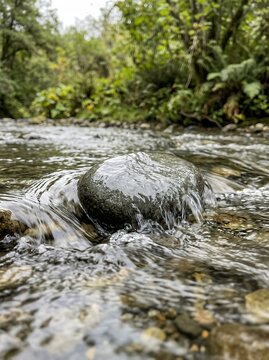 Close up of a rock in a flowing river surrounded by lush green forest.