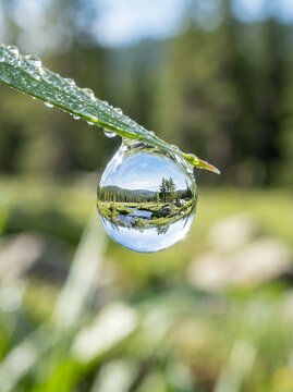 Macro shot of a dewdrop on a blade of grass reflecting a landscape.