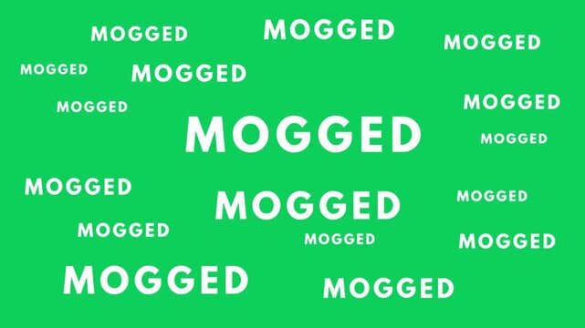 Mogged Internet Slang Animated Text Background for Social Media Meme and Online Culture Content