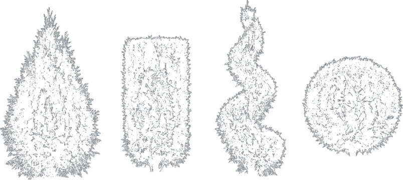 Four different topiary trees and shrubs