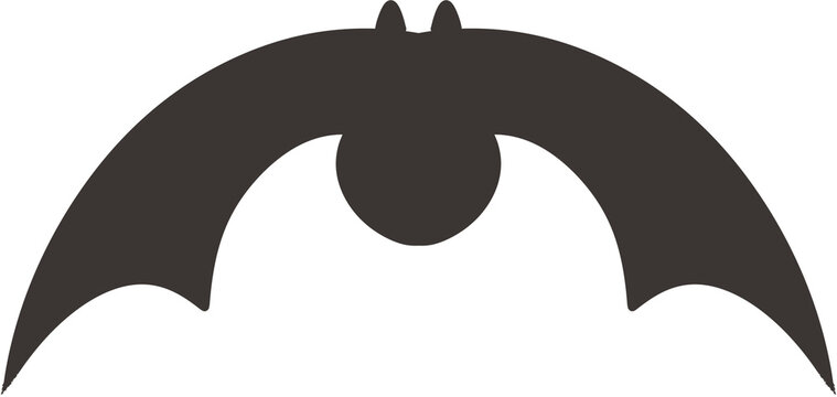 vector illustration 할로윈_박쥐_일러스트ver.
