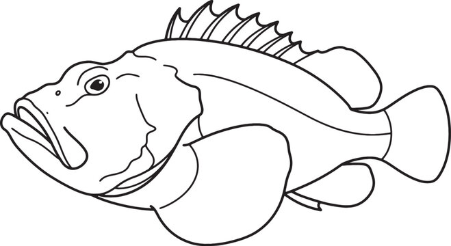 Clean minimalist vector outline stonefish illustration isolated