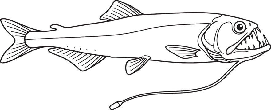 Educational black and white line art dragonfish illustration