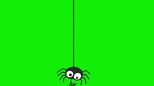 Cute Black Spider Hanging from Spider Web &ndash; 2D Cartoon Animation