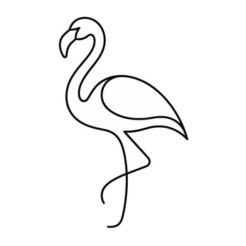 Flamingo line art