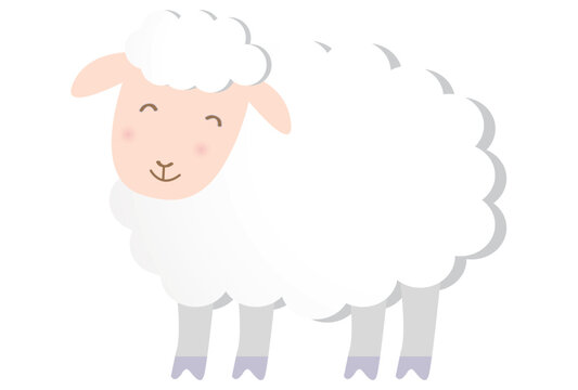 A Cute Fluffy White Sheep Character Illustration