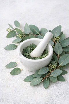 Natural Herbs and Spices