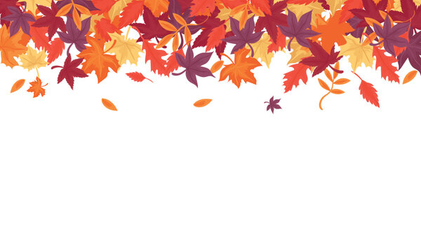 Isolated autumn leaves top border vector background with red, orange, purple maple foliage pattern on transparent background for Thanksgiving.
