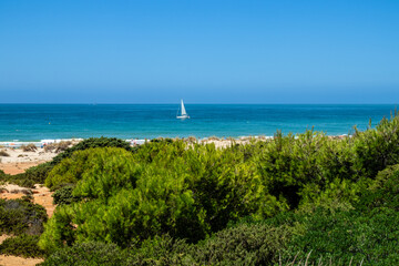 sand dunes in La Barrosa beach in Sancti Petri, Cadiz, Spain, in august 2026 © josevgluis