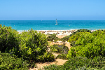 sand dunes in La Barrosa beach in Sancti Petri, Cadiz, Spain, in august 2026 © josevgluis