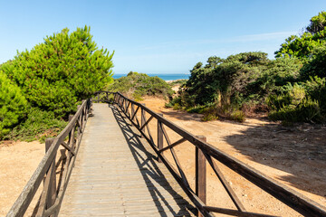 sand dunes in La Barrosa beach in Sancti Petri, Cadiz, Spain, in august 2026 © josevgluis