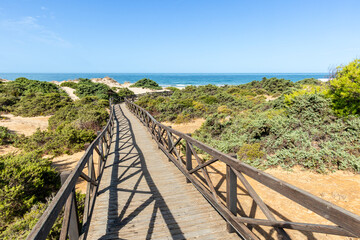 sand dunes in La Barrosa beach in Sancti Petri, Cadiz, Spain, in august 2026 © josevgluis