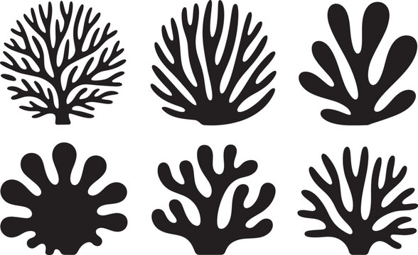 Coral reef plant silhouette collection with various organic seaweed shapes and marine floral element.