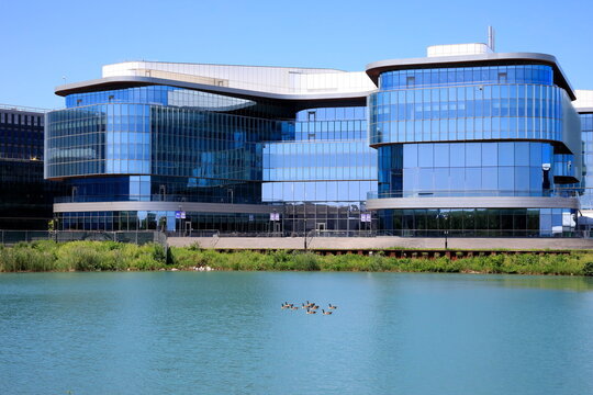 Evanston, Illinois State / USA - Jul 29, 2026: Ducks swam past the main building of the Kellogg School of Management at Northwestern University.