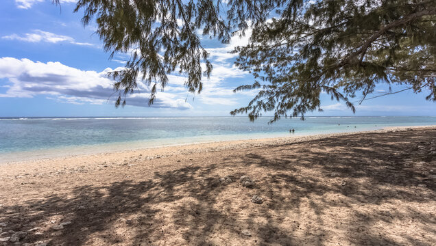 Plage tropicale sous les Filaos 
