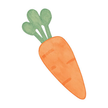 PNG Hand-drawn carrot illustration art.