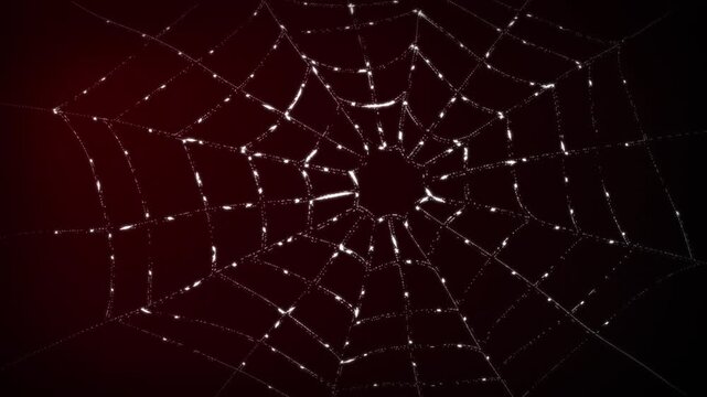 3D animation of a glistening silky spider web breathing and bulging on a dark grainy background abstract horror themed visual effects and spooky motion graphics design with a red colour gradient