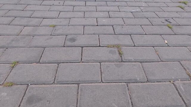 Close up shot of paving block ground surface texture with weed