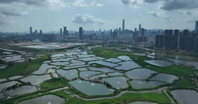 Rural green fields with fish ponds between Hong Kong and skylines of Shenzhen, China	