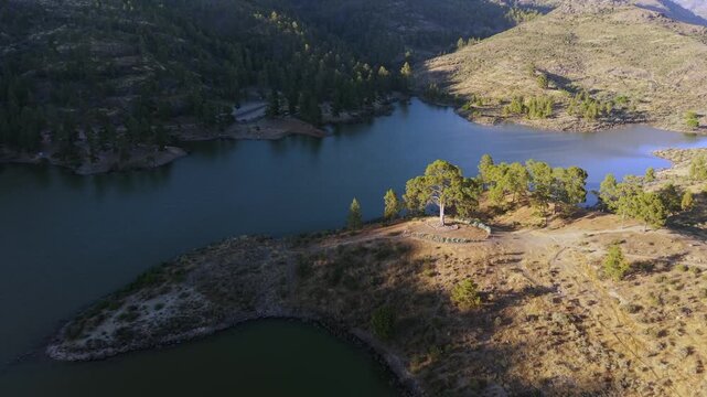 Stunning aerial footage of the Presa de Las Ninas dam featuring the ancient Casandra's tree in Tejeda, Nublo Rural Park, Gran Canaria