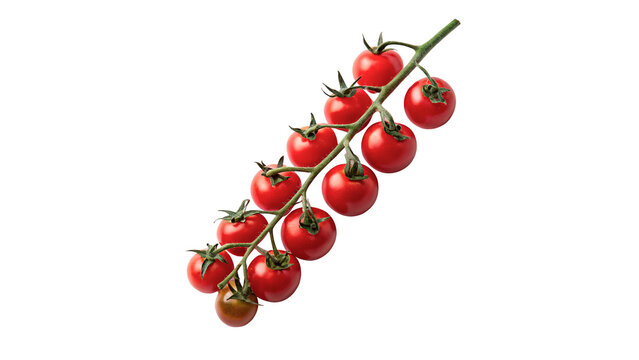 Fresh red cherry tomatoes vine ripe organic vegetables isolated on transparent background