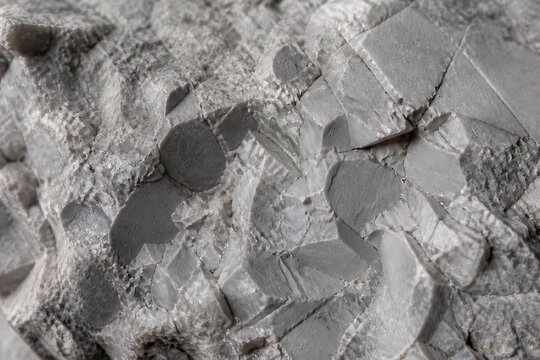Chalky flint nodules fractured in sedimentary rock surface
